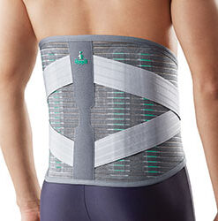 DELUXE PRO LUMBAR SUPPORT